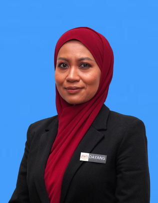DAYANG SUHANA BINTI FADZIM