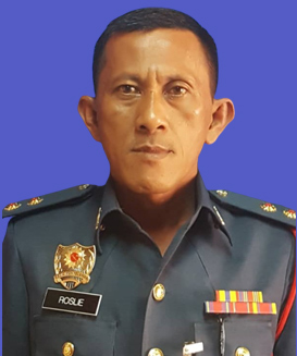 ROSLIE BIN JUN